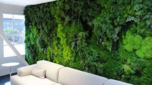Особенности вертикального озеленения стены мхом